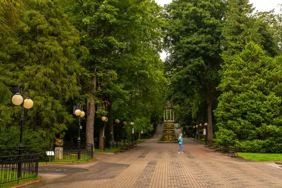 polanica zdroj park zdrojowy aleja drzewa