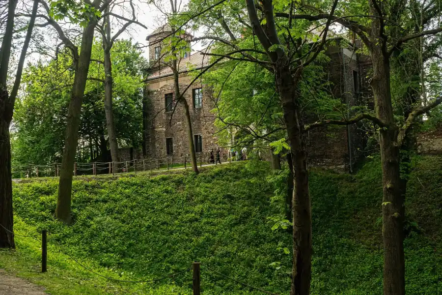 Sucha fosa   toszek 144