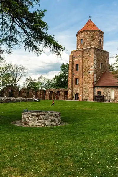 dziedziniec na zamku w toszku 156