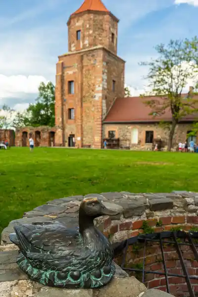 zlota kaczka toszek 145