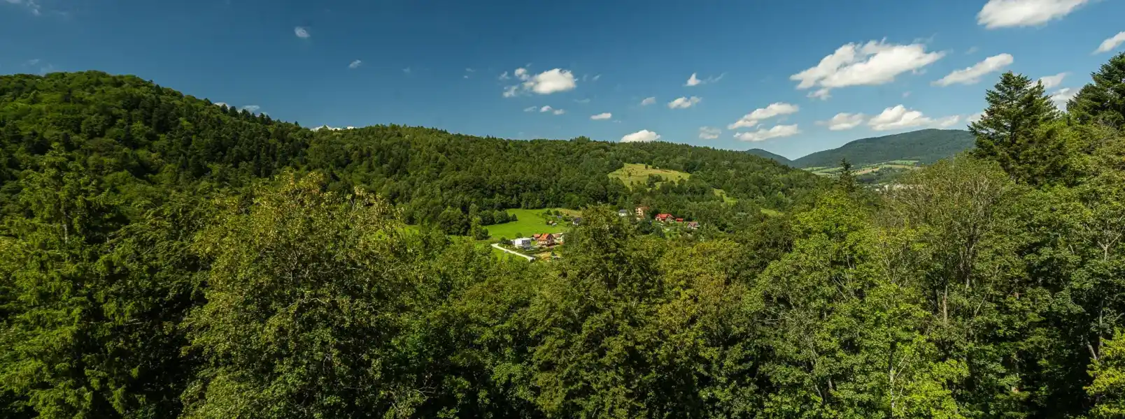Muszyna Zdroj panorama gorska