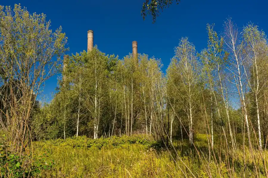 Kominy EC Szombierki widoczne ponad drzewami w industrialnym krajobrazie