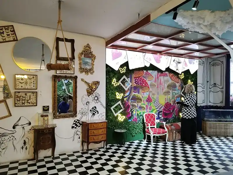 Muzeum motyli krakow 026