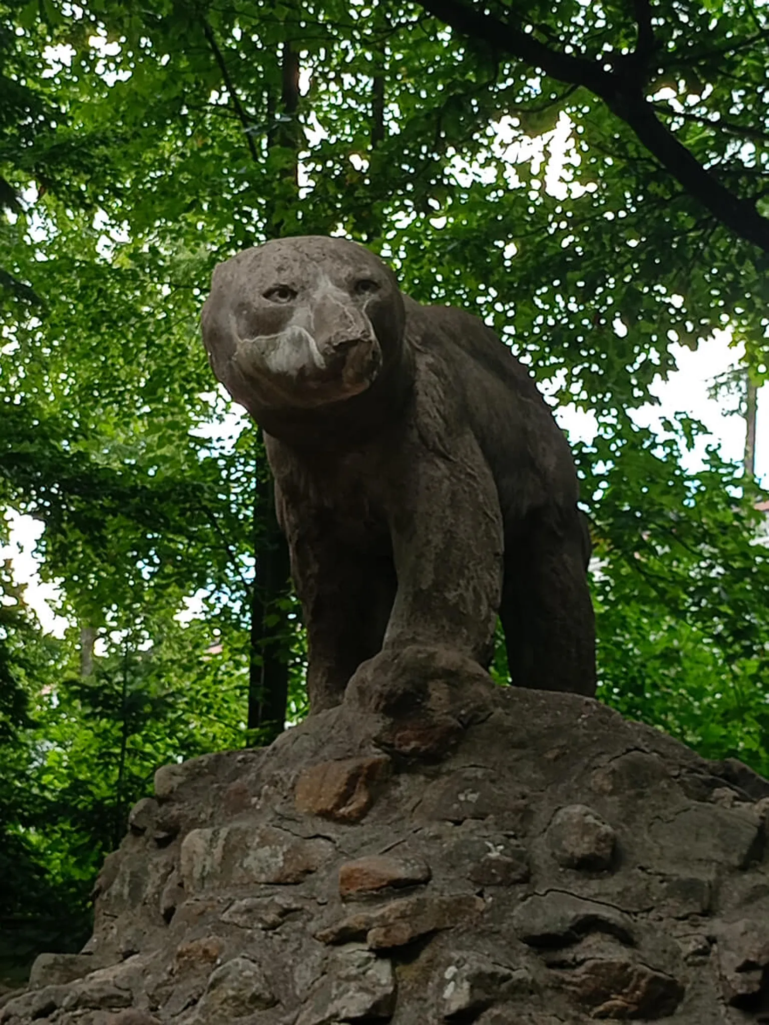 Betonowa rzeźba Pomnika Niedźwiedzia Polarnego Polarek z 1910 roku w Polanicy Zdrój — kultowa maskotka uzdrowiska na skale wśród drzew
